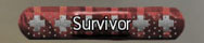 File:Survivor.jpg