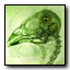 File:Emblem-birdbrain.jpg
